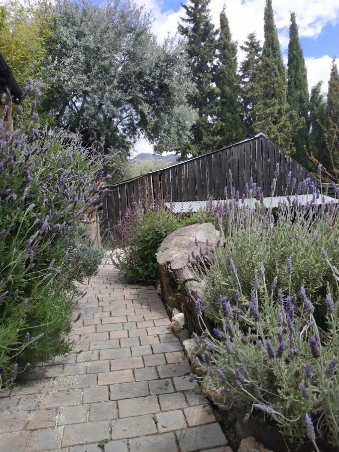 Fundalucia Bed & Breakfast Quéntar Dış mekan fotoğraf